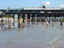 Resize of DSC00385.jpg